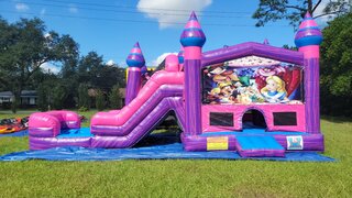 Alice in Wonderland 🐈 