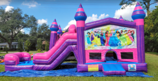 Disney Princess Overload