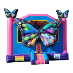 Butterfly 🦋