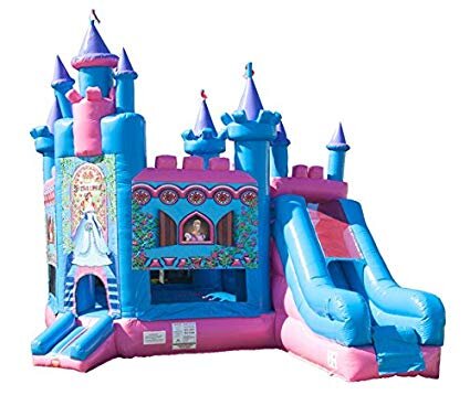 Princess Castle Dry Slide