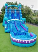 20ft Double Jellyfish Waterslide