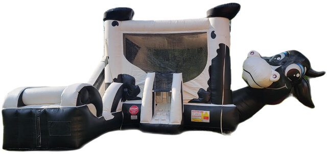 Bessie Bounce House Slide Combo