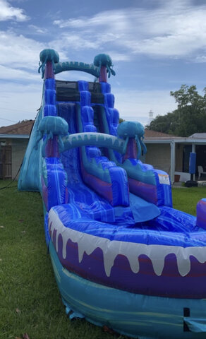 19' Jellyfish Slide with Pool