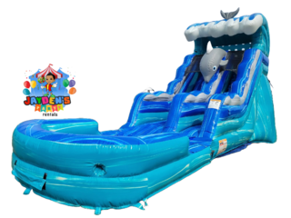 Dolphin Waterslide