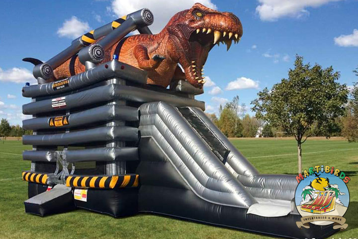 The Best Selection of Inflatables Crosby TX Has to Offer The Best Selection of Inflatables Crosby TX Has to Offer