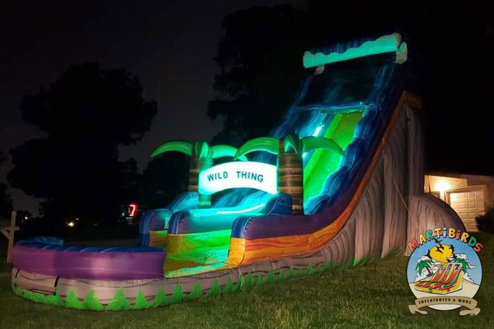 Bringing the Fun to You with Inflatables in Crosby TX Bringing the Fun to You with Inflatables in Crosby TX