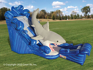  The Great white Shark Slide