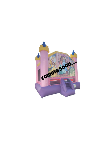 Disney Princess Bounce House
