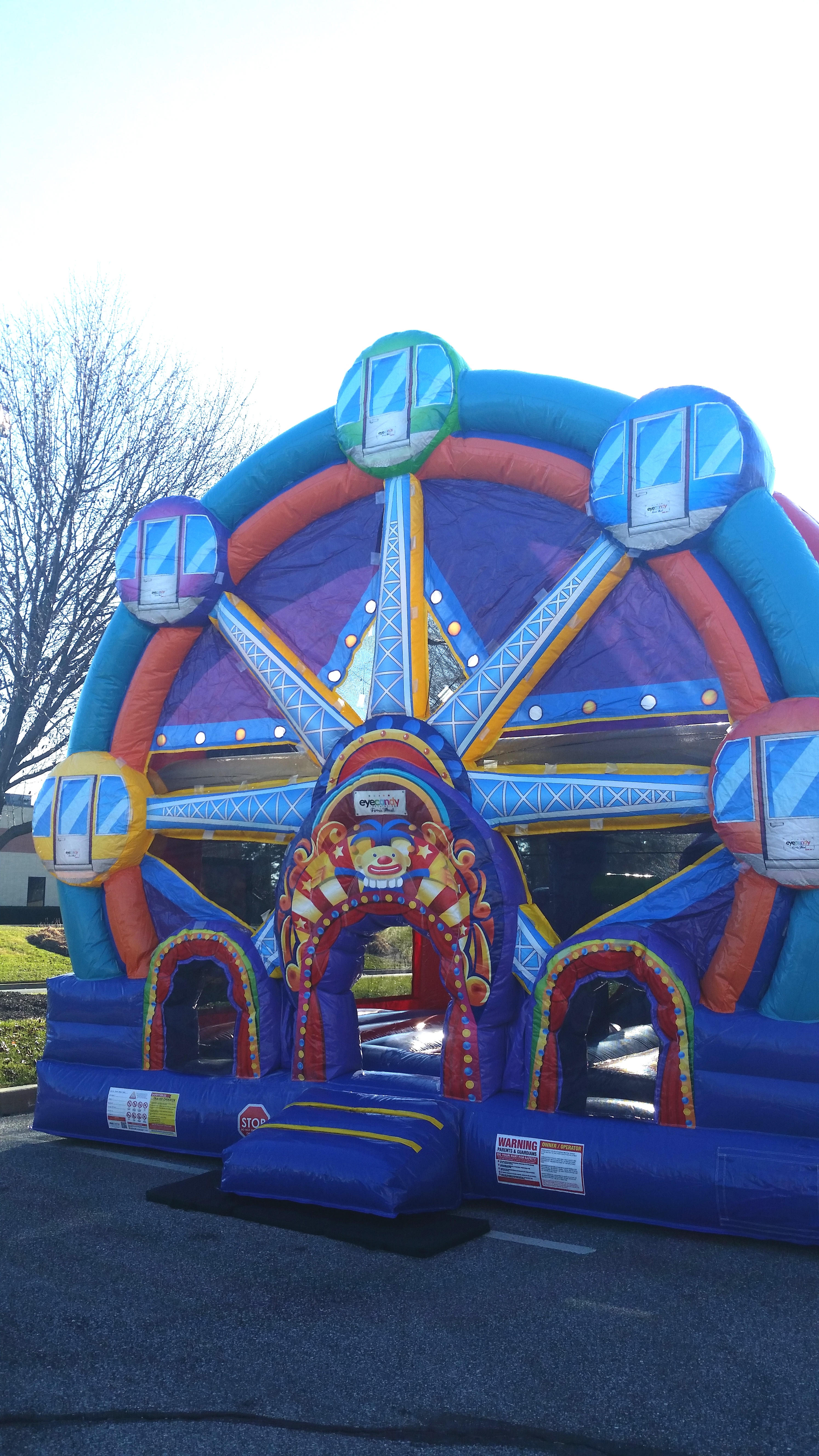 Ferris Wheel Bouncy House with Slide Combo Unit for Rent in