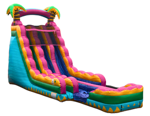 22ft Teal Crush Double Lane Slide (Wet/Dry)