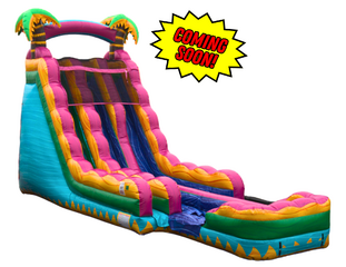 22ft Teal Crush Double Lane Slide (Wet/Dry)