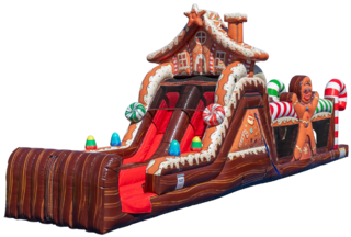 47ft Gingerbread Obstacle Course