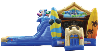 Beach Party Combo (Wet/Dry)