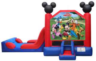 Mickey & Friends Combo (Wet/Dry)