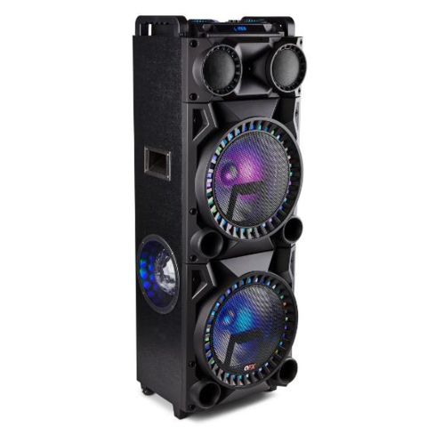 Dual 12 inch High Powered Party Speaker