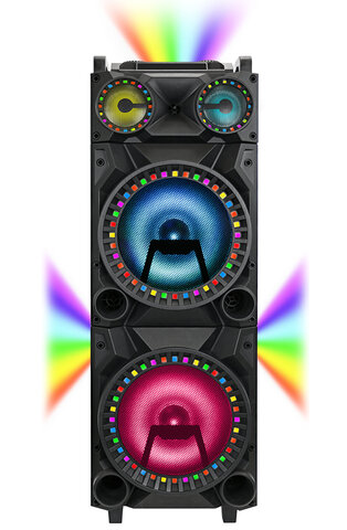 Dual 12 inch High Powered Party Speaker