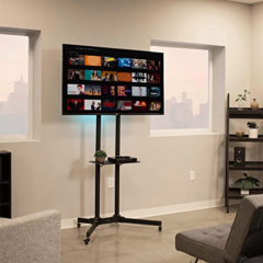 TV and Stand Combo