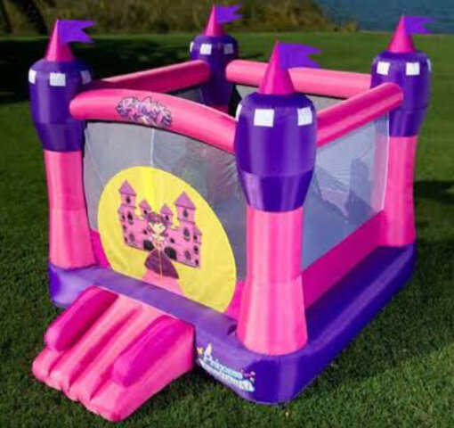 The Children Little Pink Princess Bounce House