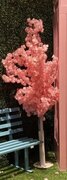 Pink Tree