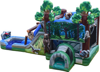 Forest Double Lane Combo Water Slide