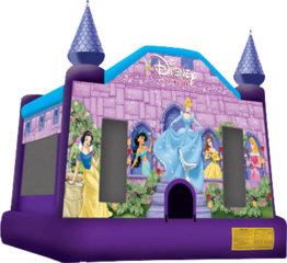 13 X 13 Disney Princess Bounce House