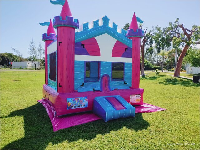 Pink Princess Castle