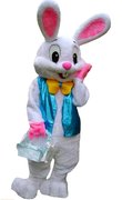 Costume Rental - Bunny Rabbit
