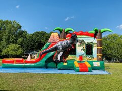 Dinosaur Bouncer Slide Combo - Wet