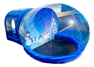 Snow Globe with Chamber