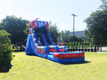 Water Slide Birthday Party