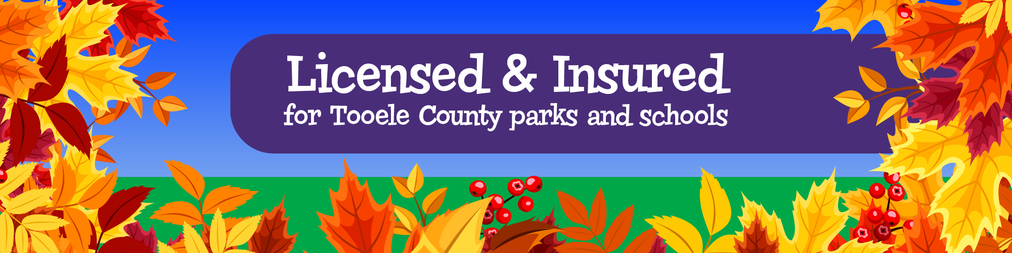 Bounce House and Party Rentals Inflatable Bounce Houses, Slides