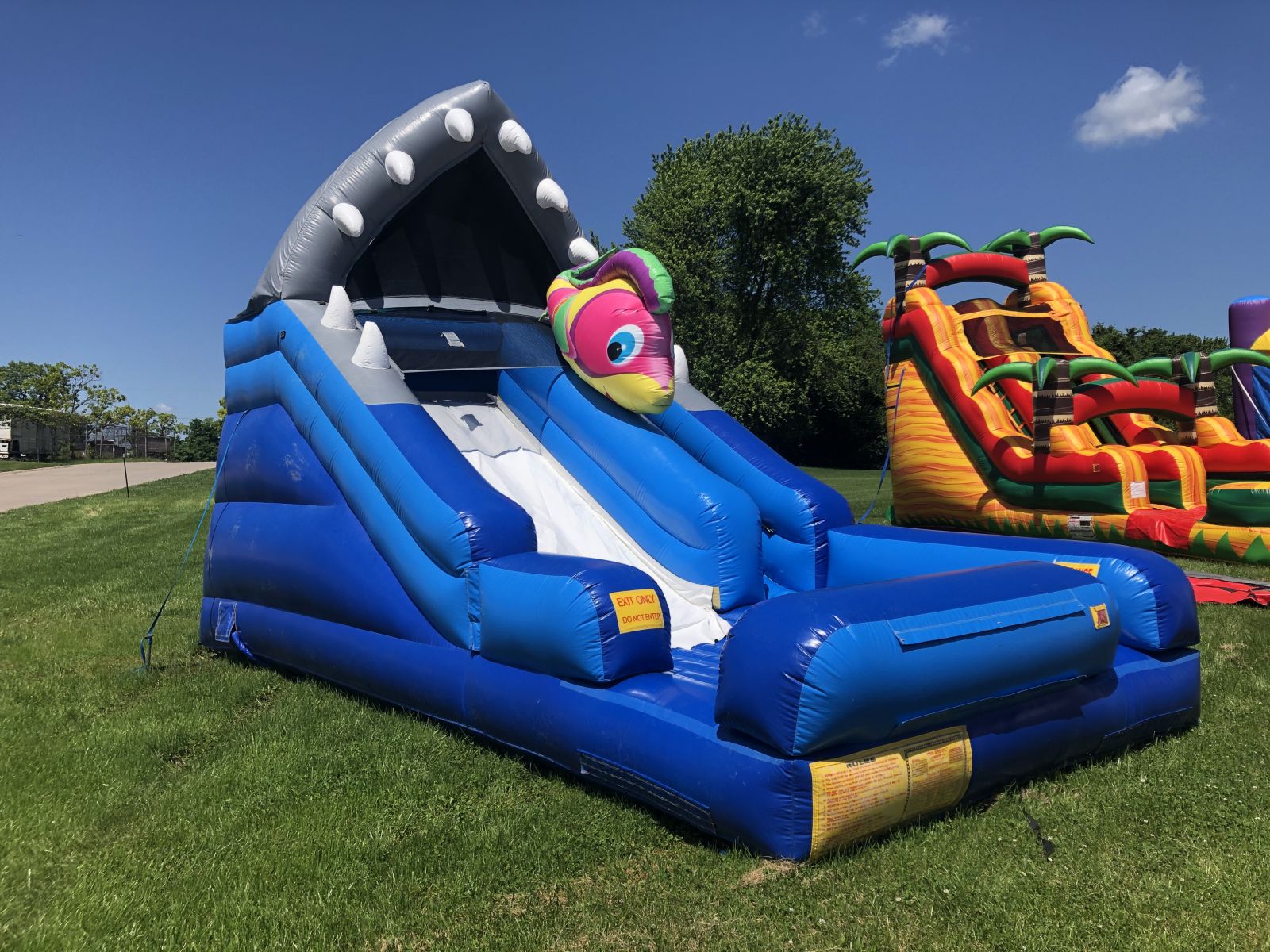 Shark Escape Waterslide