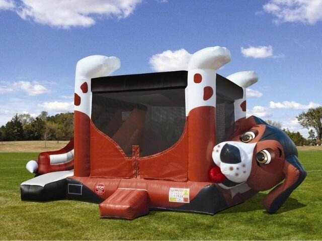 Beagle Belly Bouncer Combo