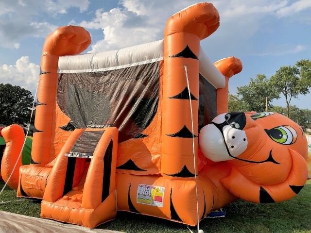 Tiger Belly Bouncer