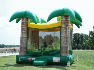 Palm Tree Bouncer