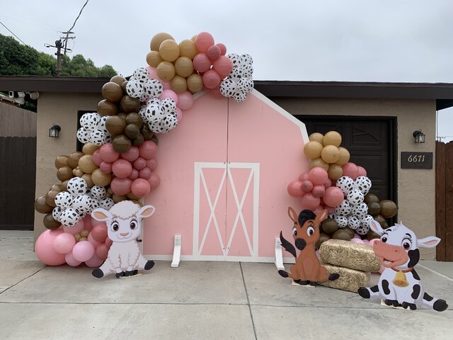 Barn house pink or blue no balloons or props