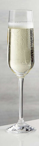 Champagne Glass