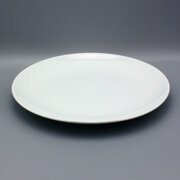 White Dinner Plate 10