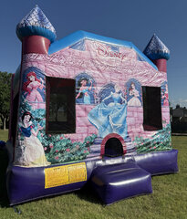 Disney Princess Combo Wet/Dry