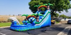 Dolphin waterslide 