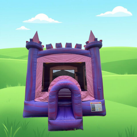 Princess  Castle Bounce House