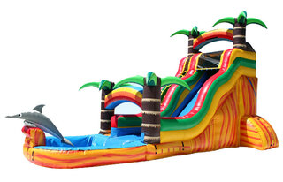 18FT TALL DOLPHIN WATER SLIDE