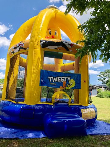 Tweety Bird Bouncer 