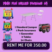 #4 PINIC FUN DELUXE PACKAGE 