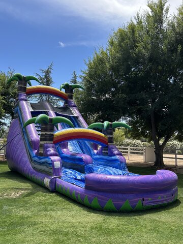 20' Purple Plush Water Slide