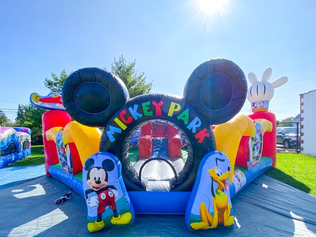 Mickey and Friends Playground 