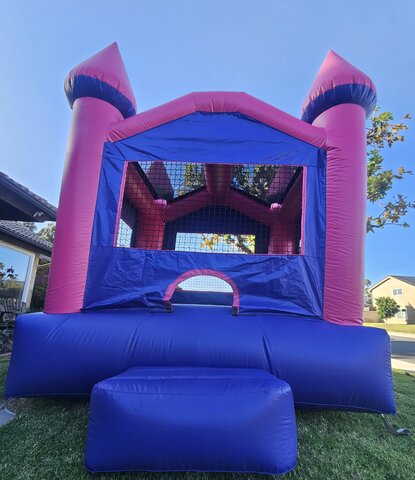 Pink N Purple TEN (10FT by 10Ft)