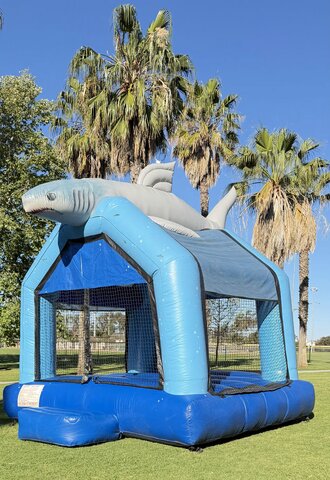 Shark 15Ft