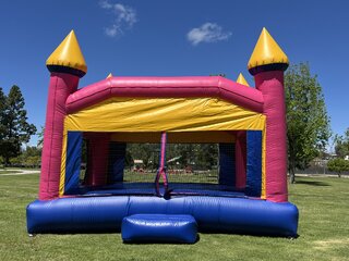 22' XL Castle Pink N Purple