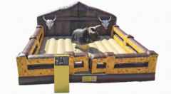 Mechanical Bull 